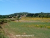 panorama-con-palazzo-stocco